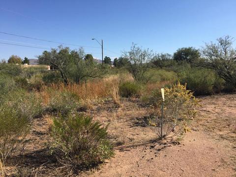 3000 E 9th St, Douglas, AZ 85607 photo 19