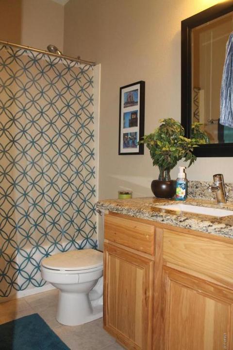 1168 S Roca St, Gilbert, AZ 85296 photo 22