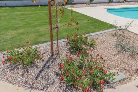 2513 E Mescal St, Phoenix, AZ 85028 photo 44