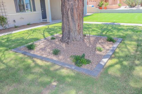 2513 E Mescal St, Phoenix, AZ 85028 photo 59