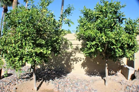16225 S 33rd St, Phoenix, AZ 85048 photo 28