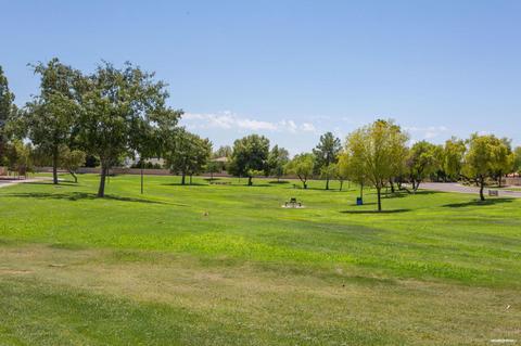 1128 E Todd Dr, Tempe, AZ 85283 photo 3