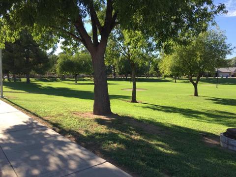 6144 Evergreen St, Mesa, AZ 85205 photo 39