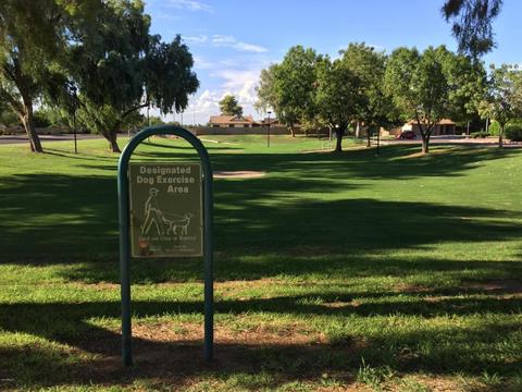 6144 Evergreen St, Mesa, AZ 85205 photo 40