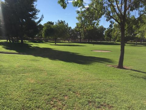 6144 Evergreen St, Mesa, AZ 85205 photo 38