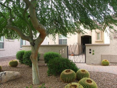 4548 E Narrowleaf Dr, Gilbert, AZ 85298