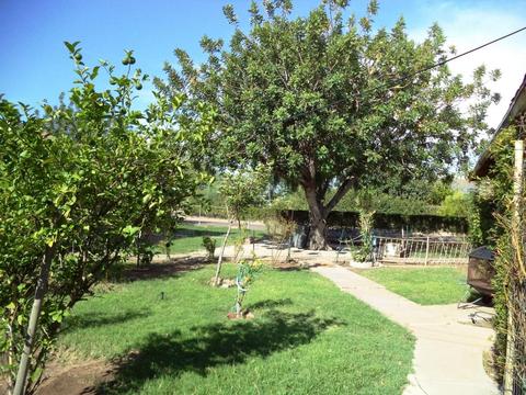 3302 E Taylor St, Phoenix, AZ 85008 photo 20
