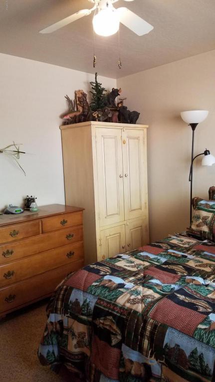 2342 Buffalo Loop S, Overgaard, AZ 85933 photo 3