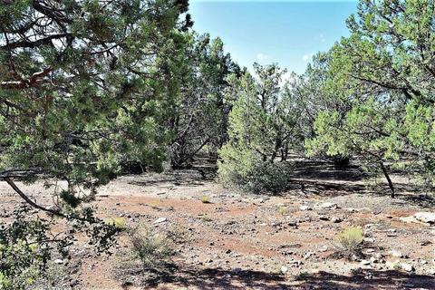 1707 W Davidson Cir, Payson, AZ 85541 photo 26