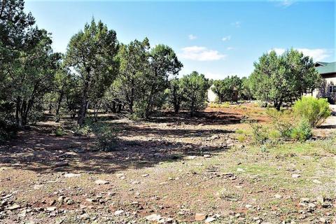 1707 W Davidson Cir, Payson, AZ 85541 photo 24