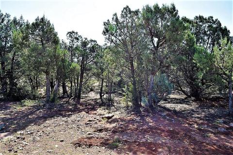 1707 W Davidson Cir, Payson, AZ 85541 photo 23