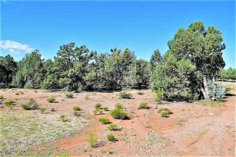 1707 W Davidson Cir, Payson, AZ 85541 photo 22