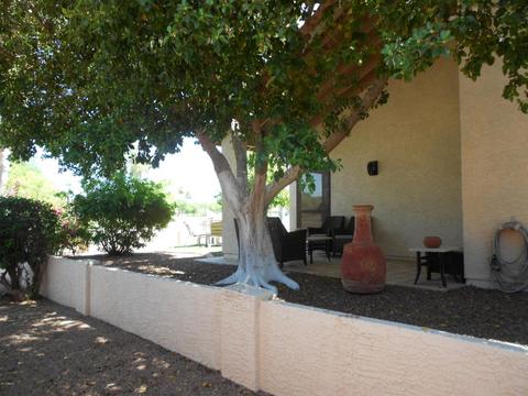 6144 E Nance St, Mesa, AZ 85215 photo 30