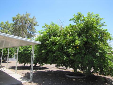 6057 E Des Moines St, Mesa, AZ 85205 photo 15