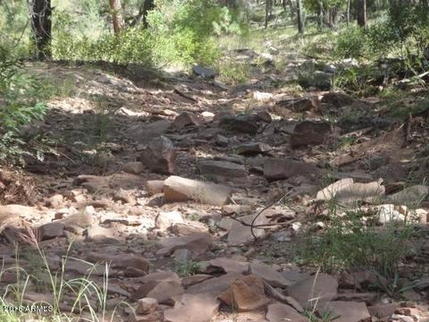 534 W Diamond Loop, Payson, AZ 85541 photo 32