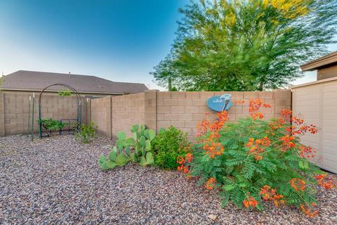 10823 E Dover St, Mesa, AZ 85207 photo 63