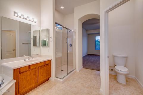 10823 E Dover St, Mesa, AZ 85207 photo 29