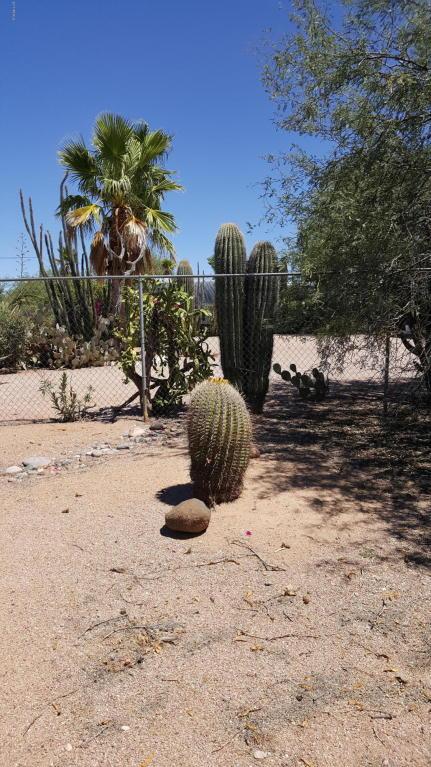 2277 W Windsong St, Apache Junction, AZ 85120 photo 3
