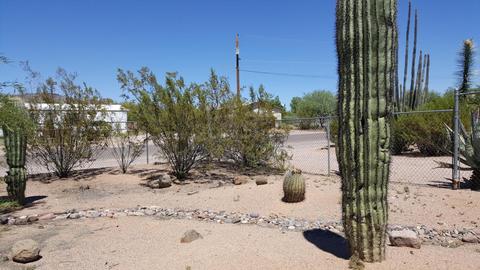 2277 W Windsong St, Apache Junction, AZ 85120 photo 2