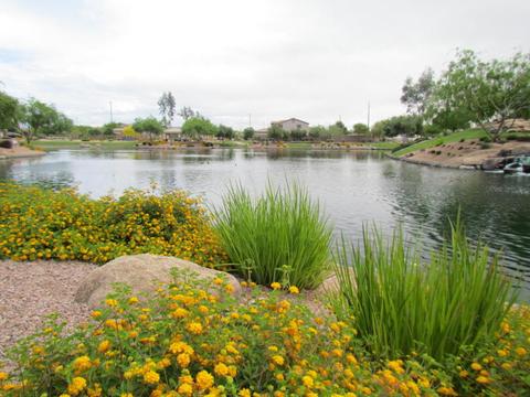 2477 E Orleans Dr, Gilbert, AZ 85298 photo 38