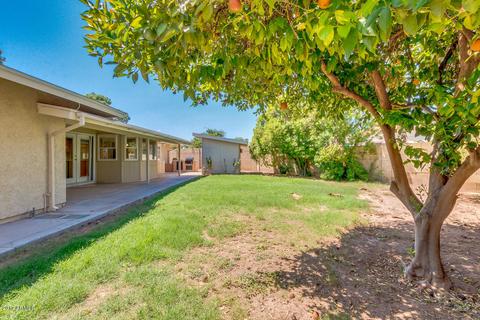 1710 E Downing St, Mesa, AZ 85203 photo 31
