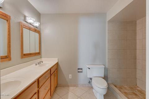 1710 E Downing St, Mesa, AZ 85203 photo 18