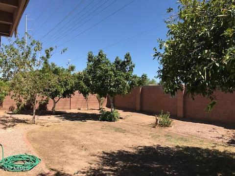 2823 E Renee Dr, Phoenix, AZ 85050 photo 26