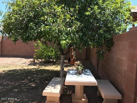 2823 E Renee Dr, Phoenix, AZ 85050 photo 24