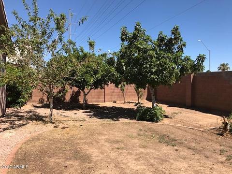 2823 E Renee Dr, Phoenix, AZ 85050 photo 25