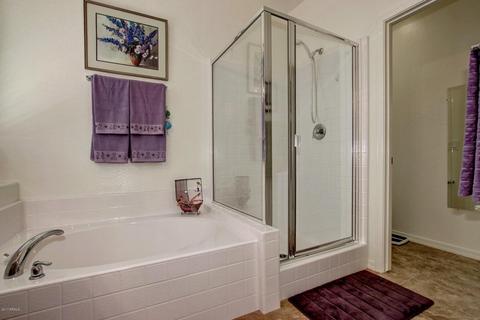 11107 E Starkey Ave, Mesa, AZ 85212 photo 15