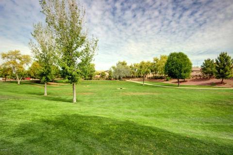 11107 E Starkey Ave, Mesa, AZ 85212 photo 25