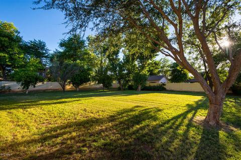 709 E Barbarita Ave, Gilbert, AZ 85234 photo 5