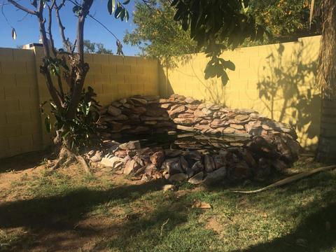 2708 E Michigan Ave, Phoenix, AZ 85032 photo 12