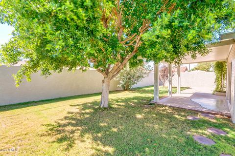 4540 N 14th Ave, Phoenix, AZ 85013 photo 47