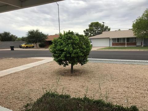 1946 E Diamond Ave, Mesa, AZ 85204 photo 21