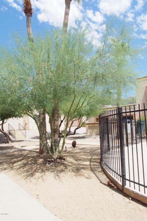10411 N 11th Ave #19, Phoenix, AZ 85021 photo 24