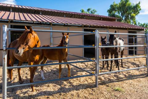 3637 E Brooks Farm Rd, Gilbert, AZ 85298 photo 47