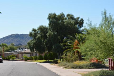 2725 E Cinnabar Ave, Phoenix, AZ 85028 photo 21