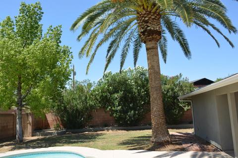2725 E Cinnabar Ave, Phoenix, AZ 85028 photo 18