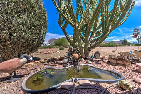 280 N Mountain View Rd, Apache Junction, AZ 85119 photo 12