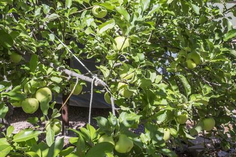 314 E Riidge Ln, Payson, AZ 85541 photo 34