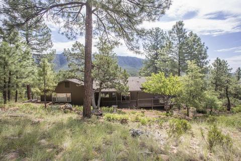 5125 Juniper Loop, Pine, AZ 85544 photo 3
