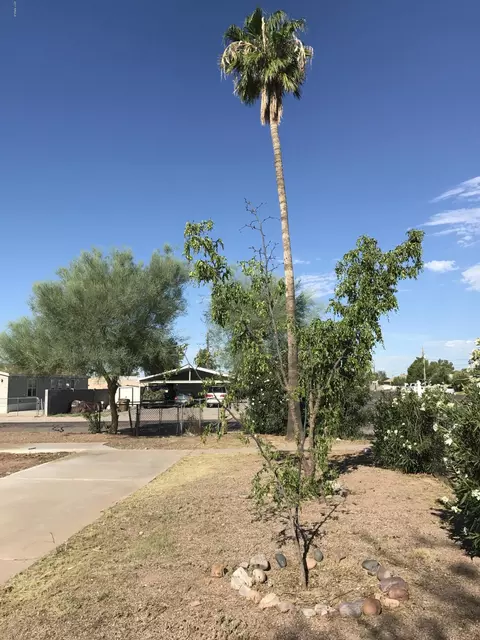 9915 E Broadway Rd #-, Mesa, AZ 85208 photo 4