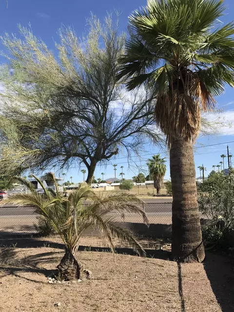 9915 E Broadway Rd #-, Mesa, AZ 85208 photo 3