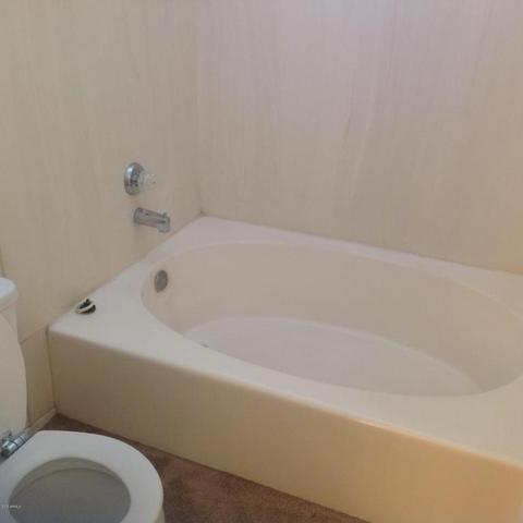 958 E Inca St, Mesa, AZ 85203 photo 25