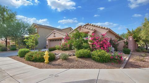 4040 E Hashknife Rd, Phoenix, AZ 85050 photo 3