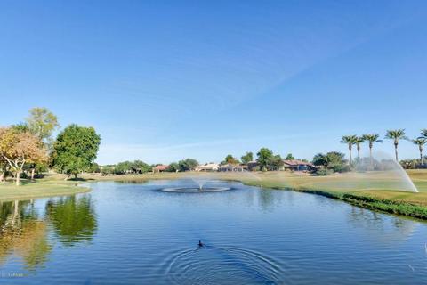 4364 E Ficus Way, Gilbert, AZ 85298 photo 37