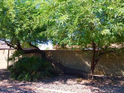 6556 E Ivy St, Mesa, AZ 85205 photo 25