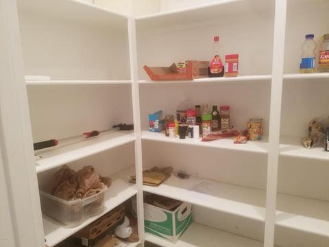 905 E Valencia Dr, Phoenix, AZ 85042 photo 3