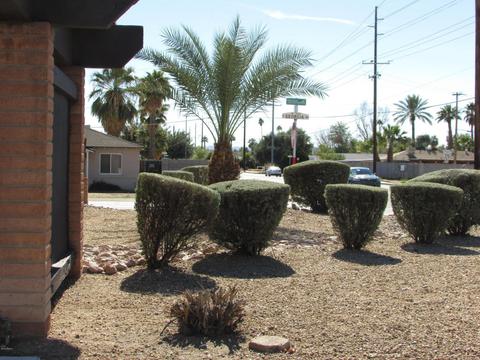 1203 E Ormondo Way, Phoenix, AZ 85014 photo 28